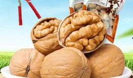 纸皮核桃爆料怎么做视频,揭秘视频制作全攻略