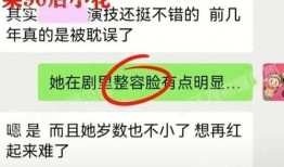 狗仔爆料预测塌房视频大全,塌房视频大全，揭秘娱乐圈惊人内幕