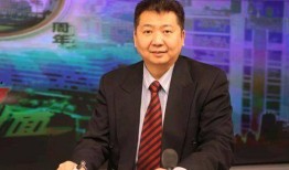 张捷爆料杨东平视频播放,揭秘背后惊人内幕