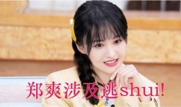 郑爽最新圈内人爆料,揭秘明星背后的真实生活