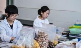 无锡教师最新吃瓜事件网红,网络热议背后的真相揭晓