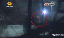 猪灌泥浆爆料视频教程,轻松掌握灌浆技巧