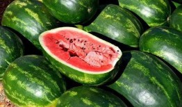 吃瓜娱乐素材图片下载,揭秘吃瓜娱乐素材图片背后的故事