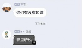 一个圈内人的爆料,揭秘某明星不为人知的幕后故事