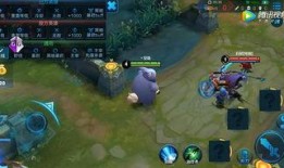 风影爆料技能介绍视频大全,技能介绍视频大全深度解析