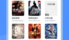 坏坏猫官网最新版本爆料,功能升级与亮点前瞻