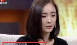 圈内爆料胡歌杨幂,圈内爆料引热议