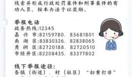 小新爆料视频,娱乐圈幕后真相大曝光！