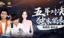 王者独家爆料视频大全,揭秘视频大全背后的精彩瞬间