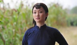 高梁红了电视剧全集在线观看,重温革命岁月，共鉴英雄传奇