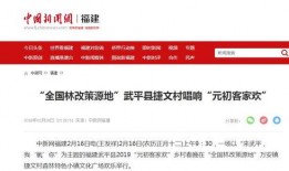 武平媒体爆料视频播放,武平媒体曝视频播放背后的惊人真相