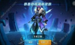 狐狸王者皮肤爆料最新,新皮肤爆料背后的神秘魅力