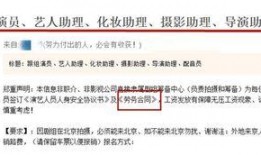爆料发什么视频违法,揭秘违法视频生成内幕