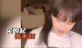 网红小透明娱乐爆料,幕后真相大起底