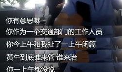 潍坊记者爆料事件视频,真相背后引人深思