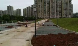 武汉汤逊湖最新爆料,揭秘生态变迁与周边发展新动向