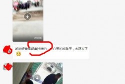 杜楼楼爆料视频大全集,揭秘幕后真相，带你走进事件核心