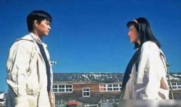 新闻爆料海鱼事件视频播放,揭秘海洋生物生存危机