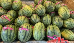 浏阳网红大瓜爆料视频曝光,视频曝光惊人内幕，揭秘娱乐圈背后真相