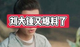 刘大锤最新爆料麦玲,麦玲惊人内幕曝光