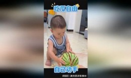 萌娃吃小瓜视频下载免费,萌态十足，免费下载观看