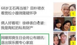 爆料退出娱乐圈的明星,揭秘退出幕后的明星真相