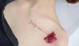 纹身女孩网红吃瓜,揭秘网络红人的幕后生活