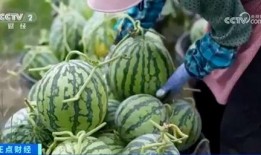 浏阳网红大瓜爆料视频曝光,视频曝光惊人内幕，揭秘娱乐圈背后真相