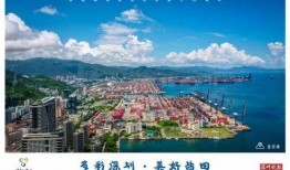 深圳盐田爆料事件最新,真相与争议交织的舆情风暴