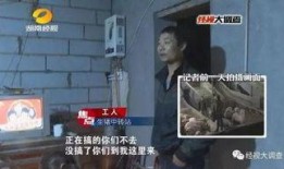 猪灌泥浆爆料视频教程,轻松掌握灌浆技巧