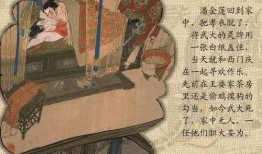 金瓶梅高清在线观看,高清再现，揭秘明代社会风情画卷