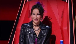 李玟爆料录音视频下载,揭秘背后真相与争议