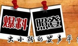 新闻网爆料平台,揭秘网络舆论背后的真相与挑战