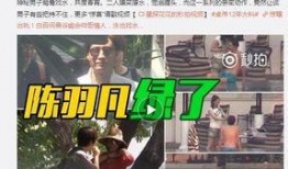 大奇和张君雅爆料视频,幕后真相大起底