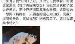 娱乐吃瓜酱虐猫小说,娱乐吃瓜酱的黑暗面揭露