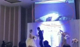 台湾现场爆料视频在线观看,真实记录惊心动魄一幕