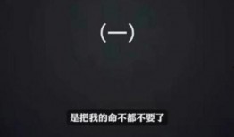 李玟爆料录音视频下载,揭秘背后真相与争议