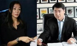 企业老总前妻爆料视频,揭秘婚姻内幕与商业秘密