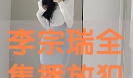 李宗瑞全集在线观看,揭秘娱乐圈风云人物的真实生活