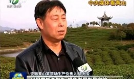 黄山新闻联播在线观看,实时资讯，尽览黄山最新动态