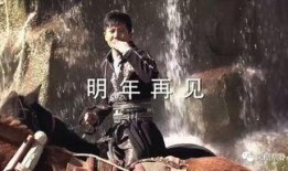 江湖再见在线观看,传奇英雄的离别篇章