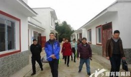 宾阳高田最新新闻爆料,村民发现古墓群，专家现场考古调查