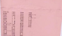 白姓爆料快讯最新,揭秘娱乐圈最新猛料，真相令人震惊！