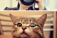 爆料魏莹视频大全下载最新,最新爆料内容深度解析