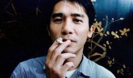 梁朝伟爆料郑凯视频播放,揭秘娱乐圈不为人知的一面