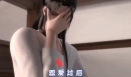 冰妹在线观看,揭秘网络直播的魅力与挑战