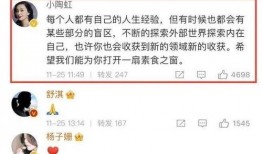 明星热搜爆料视频大全最新,揭秘最新明星爆料视频大盘点