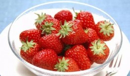 草莓农药爆料视频大全下载