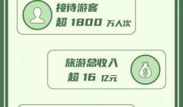 雷州爆料新闻事件最新报道,最新进展及影响深度解析