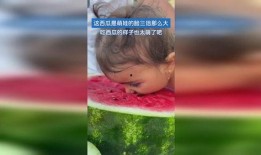 萌娃吃小瓜视频下载免费,萌态十足，免费下载观看